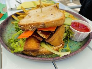 BLT sandwich w/ fries   at Plantasia Eatery in Flagstaff