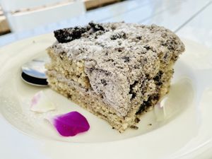 Freshly made Oreo cookie cake✨delicious   at Plantasia Eatery in Flagstaff