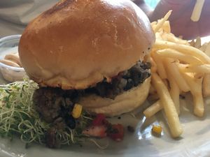 Tex Mex Burger w/ Fries at Hob Nob Cafe in Missoula