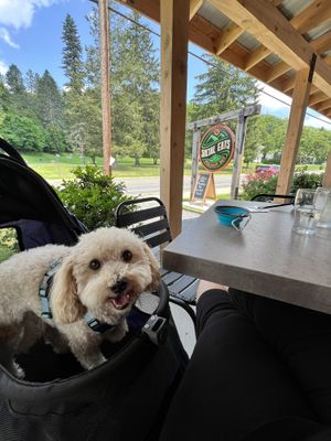   at Social Eats Cafe in Oneonta