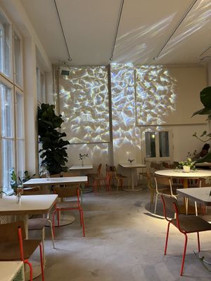   at Blumental in Berlin