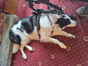  at The Victoria Hotel in Robin Hoods Bay