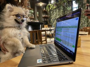 And dog friendly   at Agrotaberna Monstruo de Agua in Mexico City