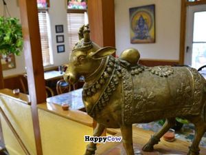 sacred cow at Govinda's Garden Cafe in Denver