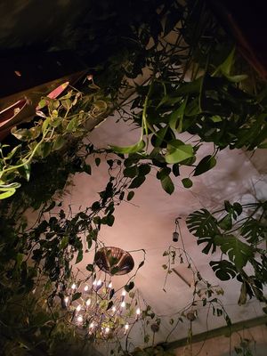  at Torggata Botaniske in Oslo