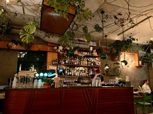 Bar   at Torggata Botaniske in Oslo