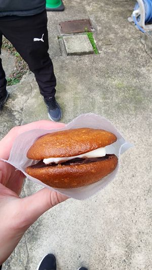 Vegan Dorayaki at Cafe Stand Blossom in Kamakura