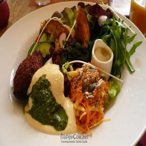 Falafel at Avalon in Ghent