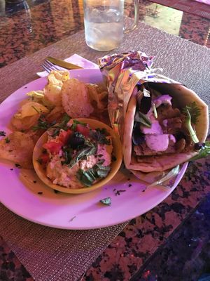 Vegan gyro special  at Green Erth Bistro in Jacksonville