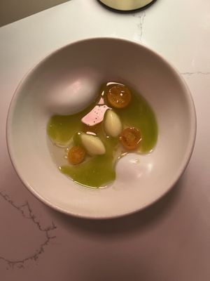   at Astera in Portland