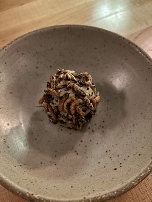   at Astera in Portland