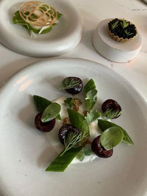   at Astera in Portland