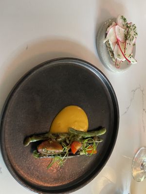   at Astera in Portland