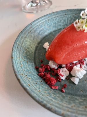   at Astera in Portland