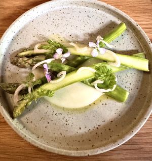   at Astera in Portland
