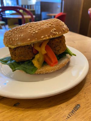 Bagel falafel and hummus at Costa Coffee in Krakow