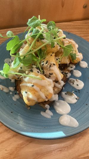   at Papa Mo's in Papamoa