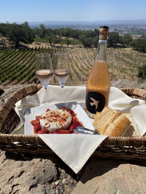 They always have a vegan cheese plate. This was a special featuring Miyoko’s mozzarella with roasted strawberries !  at Paradise Ridge Winery in Santa Rosa