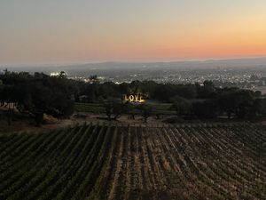 There are many sculptures on property you can enjoy for free    at Paradise Ridge Winery in Santa Rosa