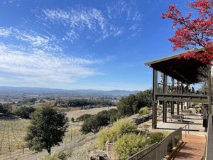 So many views to enjoy    at Paradise Ridge Winery in Santa Rosa