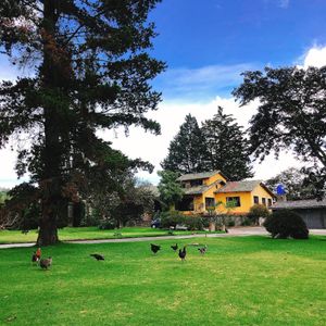 Lula's at LulaPo - Ecuadorian Brunch in Quito