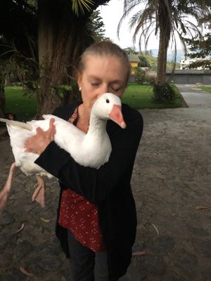 Lula  at LulaPo - Ecuadorian Brunch in Quito