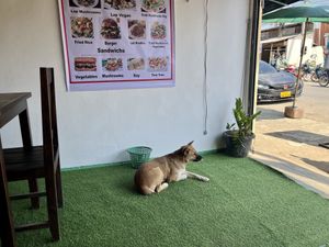 Inside   at Diamond Restaurant and Bar  in Vang Vieng