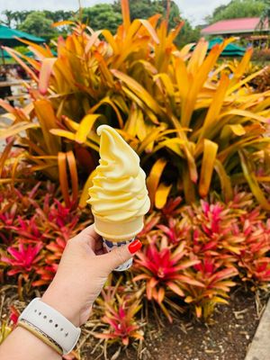  at The Plantation Grille in Wahiawa