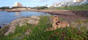  at B&b El Mirador in Alghero