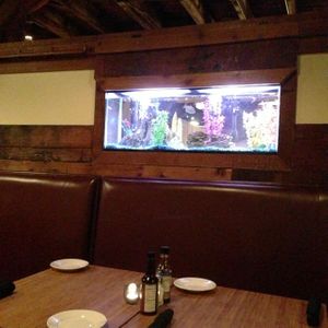 unfortunately, they have a fish tank  at Om Cafe - Traverse City in Traverse City