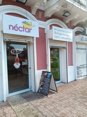 Entrada de Néctar. at Néctar Açaí and Lunch in Caguas