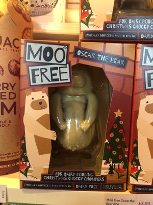 Oscar the bear is looking for a home!  at All Carrot No Stick in Sheffield