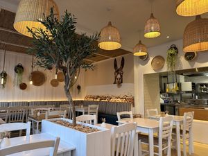   at GRECO in St Gallen