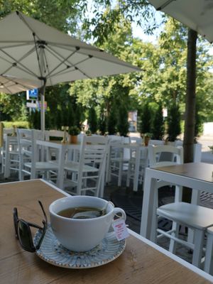  at GRECO in St Gallen