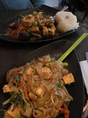 Eggplant w/fried tofu and spicy noodle w/steamed tofu  at Plumeria in San Diego