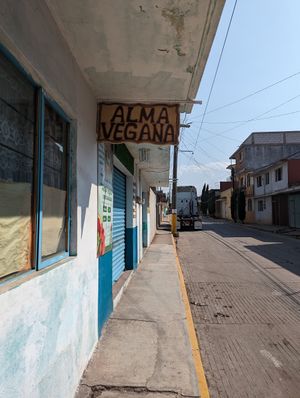  at Alma Vegana in Chignahuapan