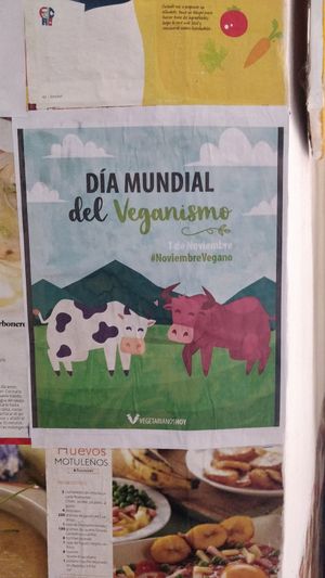  at El Shamuskiao in Havana