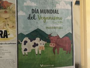   at El Shamuskiao in Havana