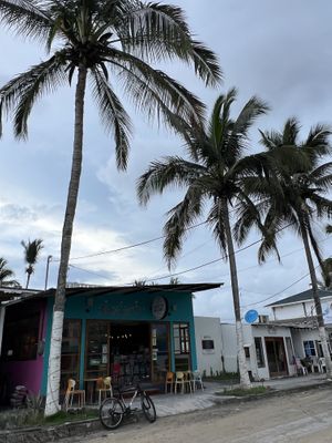 The restaurant   at Gracias Madre in Puerto Villamil