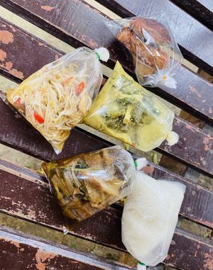 Another day, more takeaway!  at Aob Aun Vegan in Koh Samui