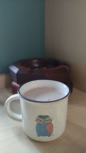 Hazelnut milk with cocoa at Veshta in Bankya