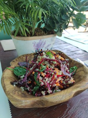  at The School in Sofia