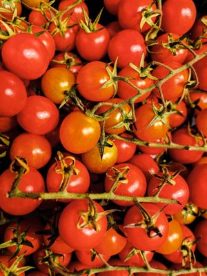  at Wedde.bio Bioladen Warburg in Warburg