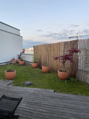 Roof top spa   at Almodovar Hotel in Berlin