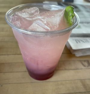 Cactus flower  at Presta Coffee Roasters in Tucson