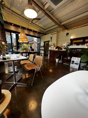   at Cafe Nerd in Gyeongju