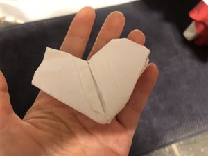 Thank you😄the heart from the little girl😄 at Annam Brahma in Jamaica