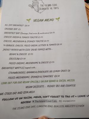Separate vegan menu at The Island Cove Cafe in Benllech