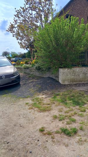  at Die MonRo Ranch - Der Lebenshof in Moenchengladbach