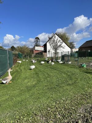   at Die MonRo Ranch - Der Lebenshof in Moenchengladbach